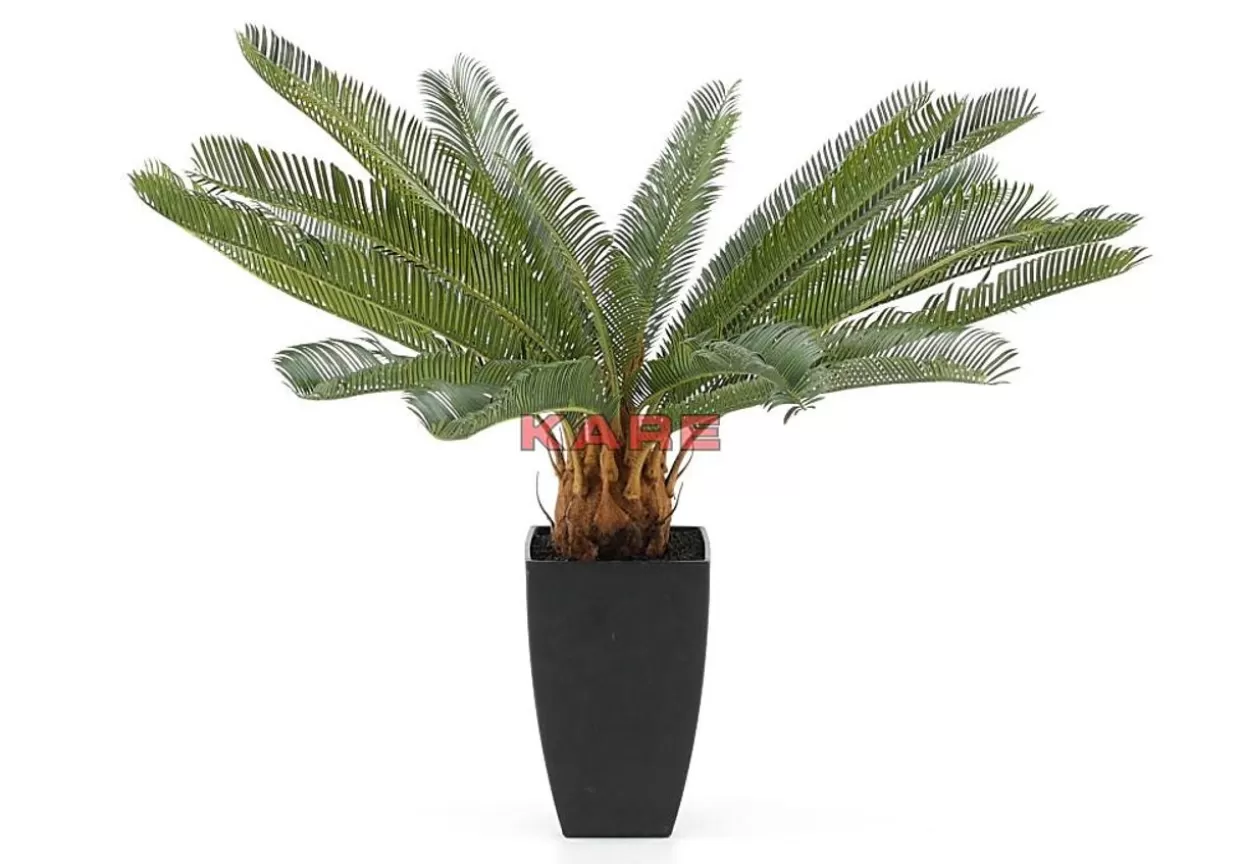 KARE Design Deko & Geschenkartikel | Deko Pflanze Cycas Tree 78Cm