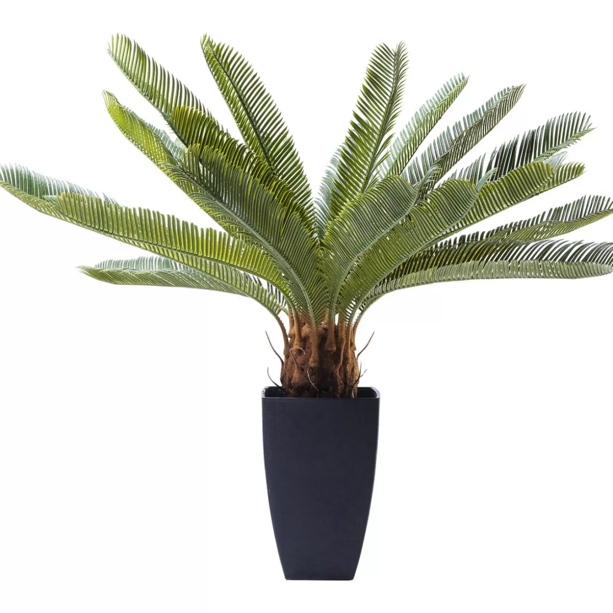 KARE Design Deko & Geschenkartikel | Deko Pflanze Cycas Tree 78Cm