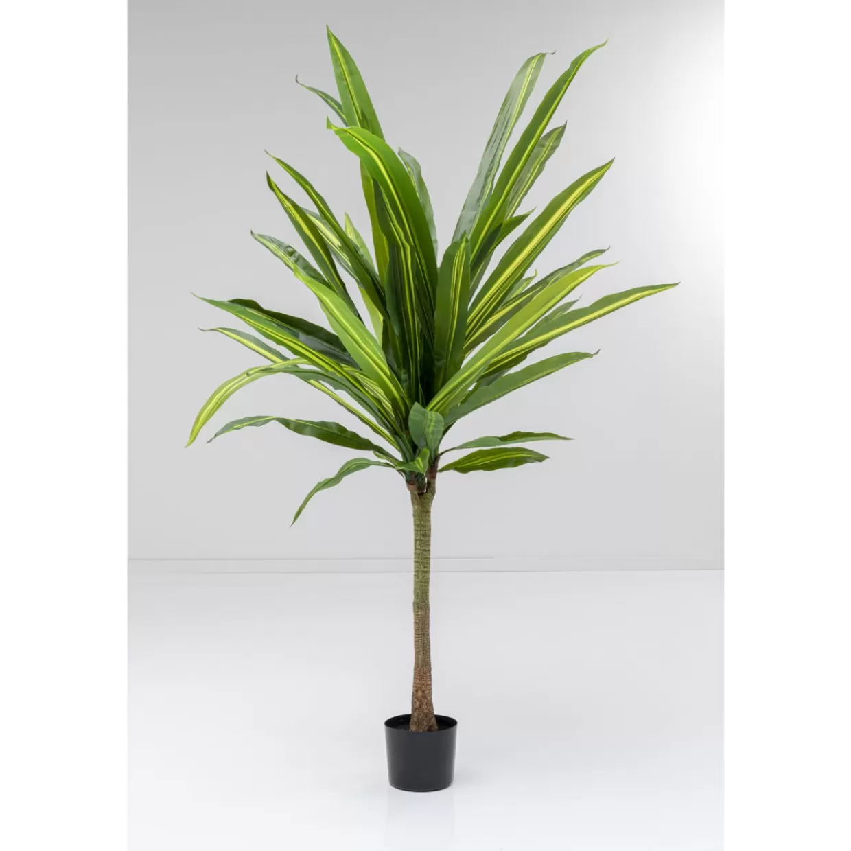 KARE Design Deko & Geschenkartikel | Deko Pflanze Dracaena Fragrans 180Cm