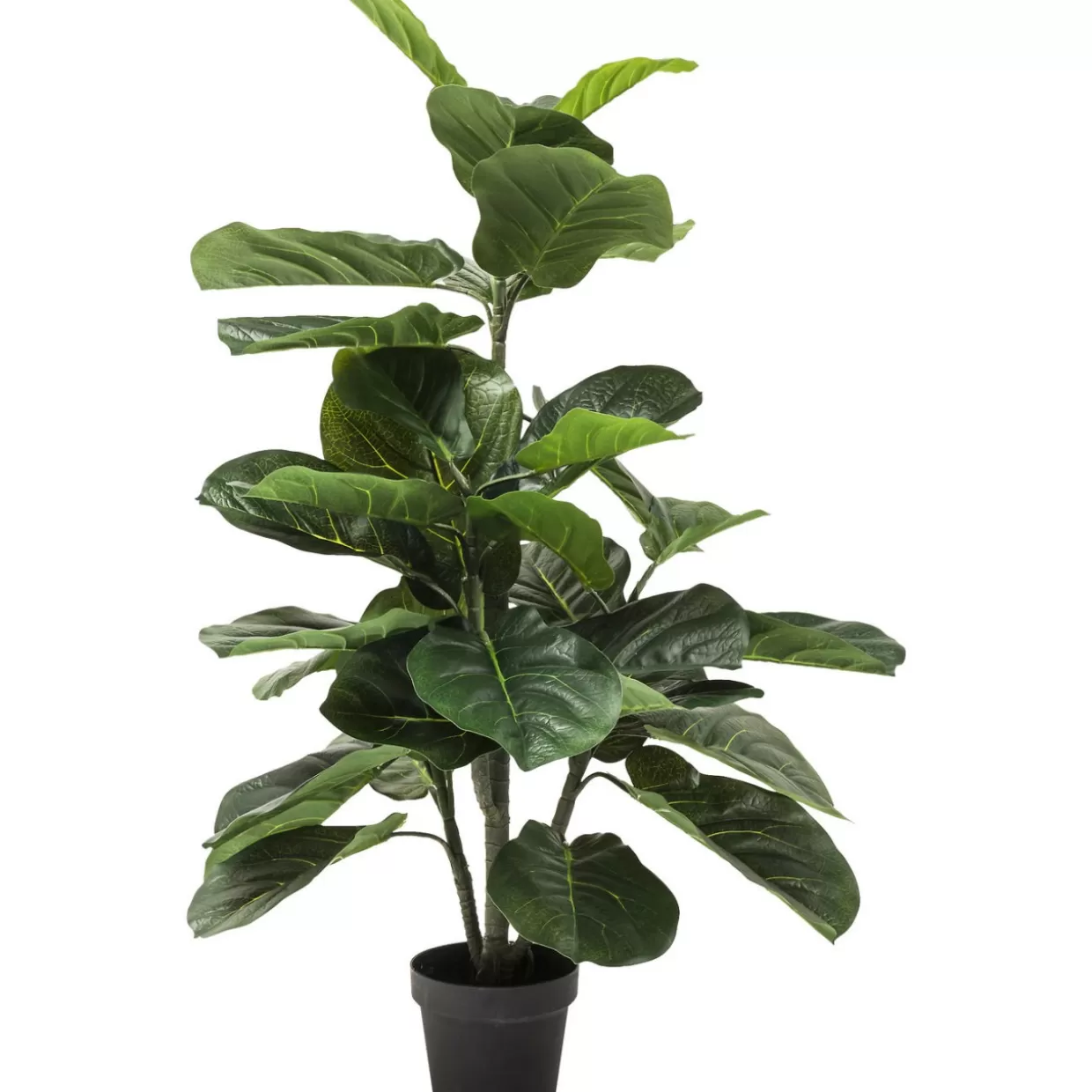 KARE Design Deko & Geschenkartikel | Deko Pflanze Fiddle Leaf 120Cm