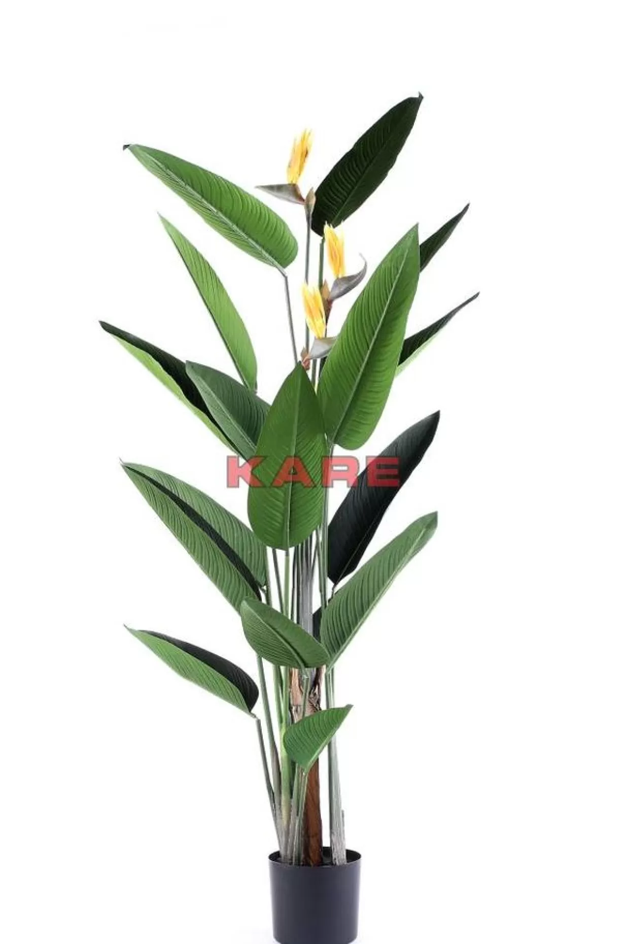 KARE Design Deko & Geschenkartikel | Deko Pflanze Paradise Flowers 190