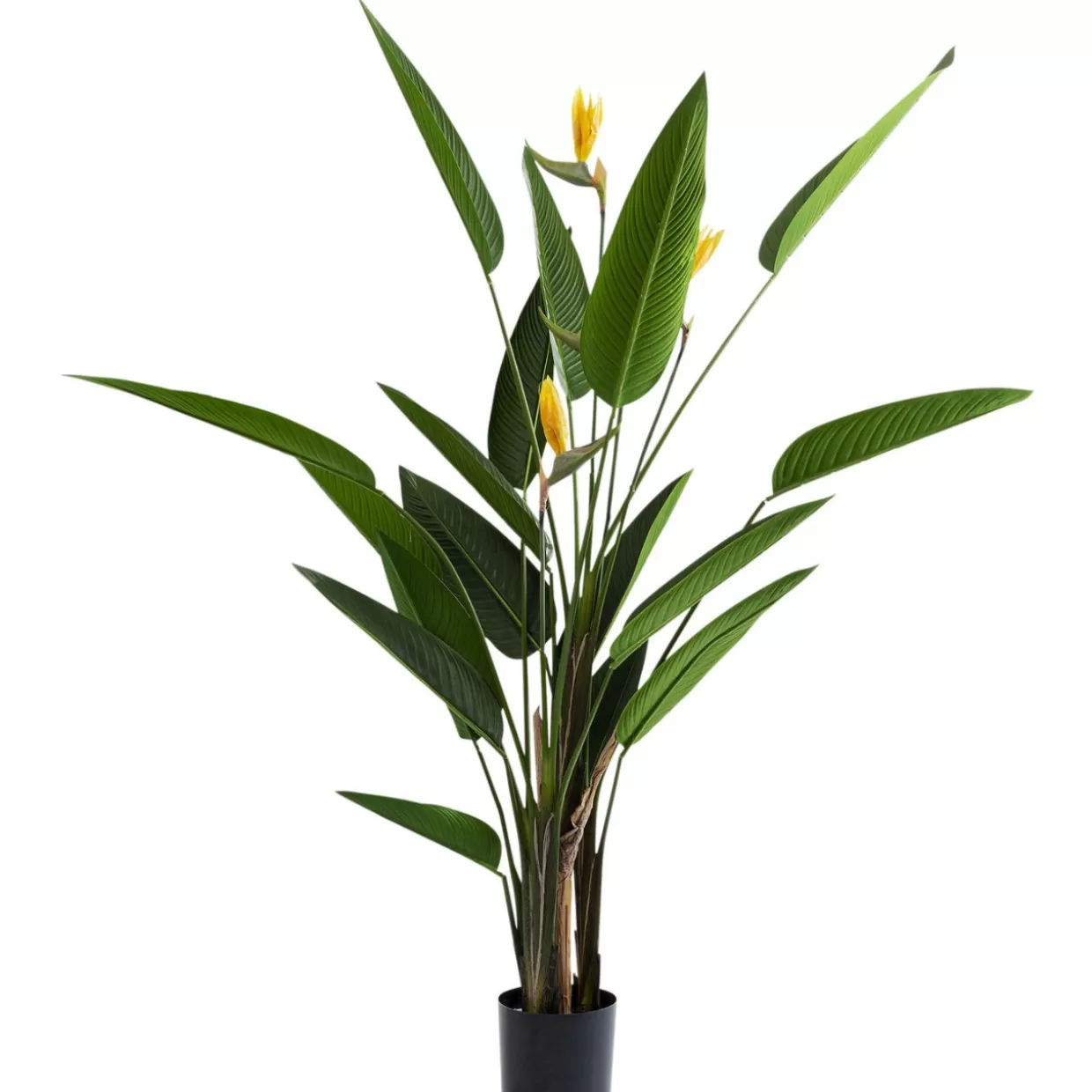 KARE Design Deko & Geschenkartikel | Deko Pflanze Paradise Flowers 190