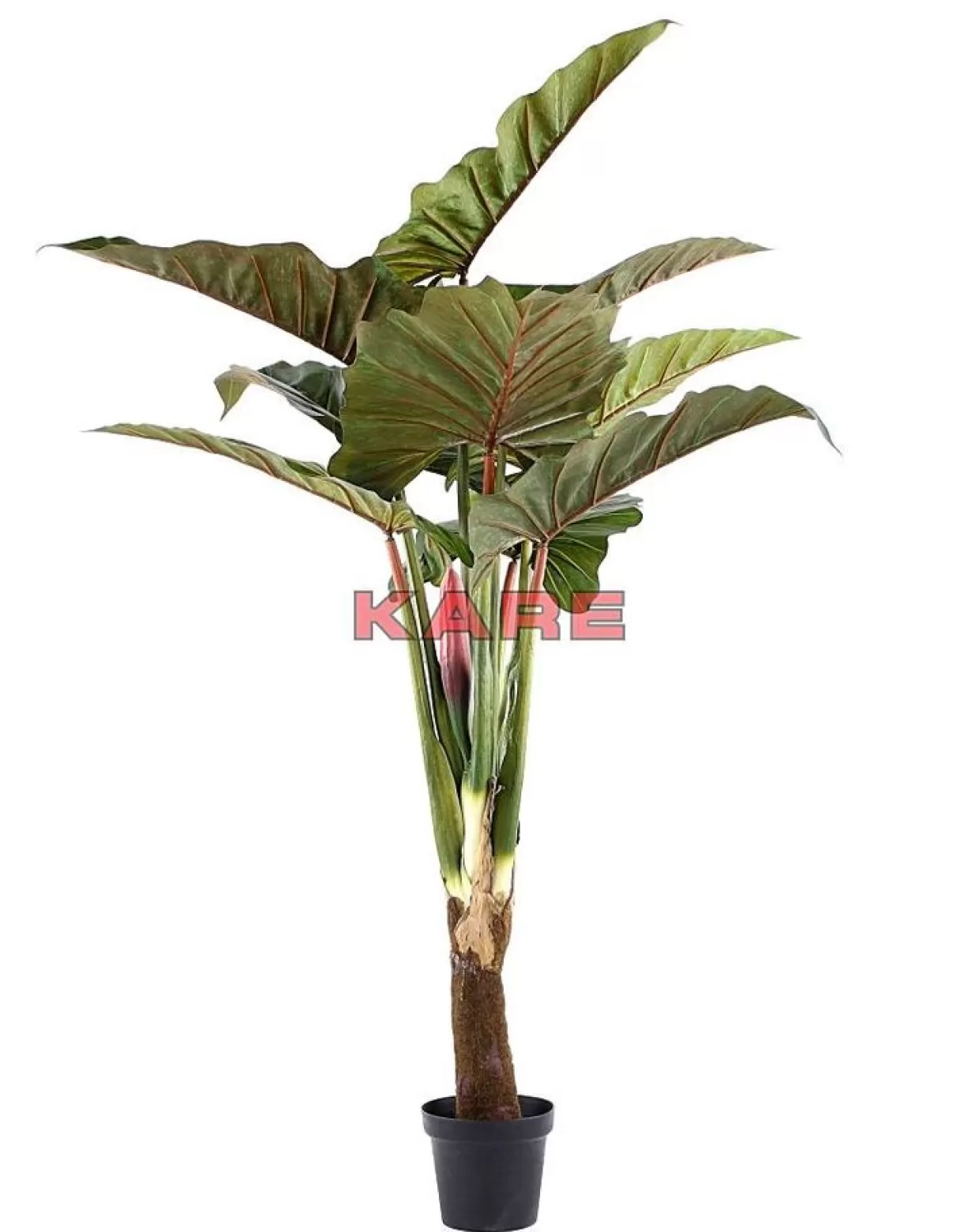 KARE Design Deko & Geschenkartikel | Deko Pflanze Rainforest Green 160Cm