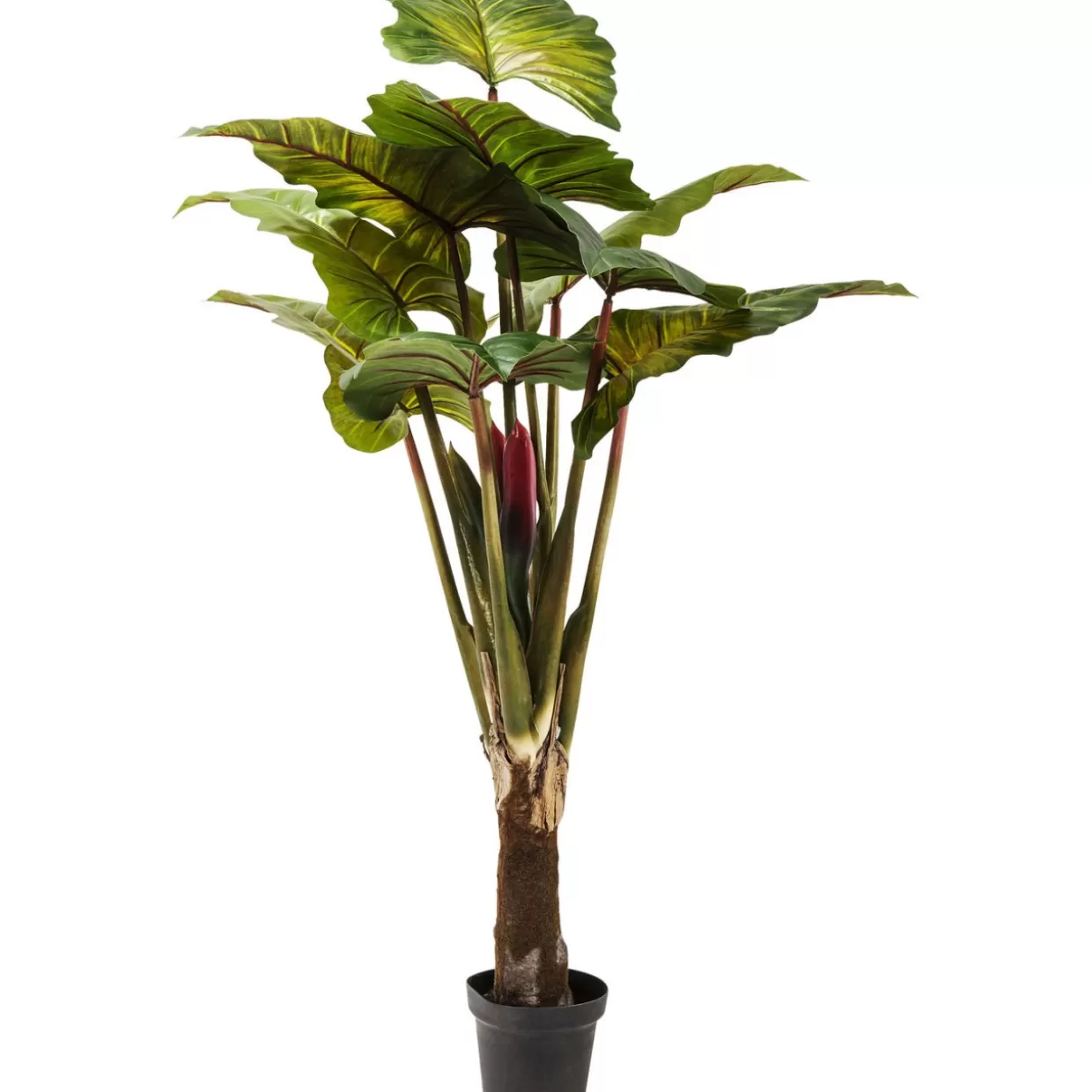 KARE Design Deko & Geschenkartikel | Deko Pflanze Rainforest Green 160Cm