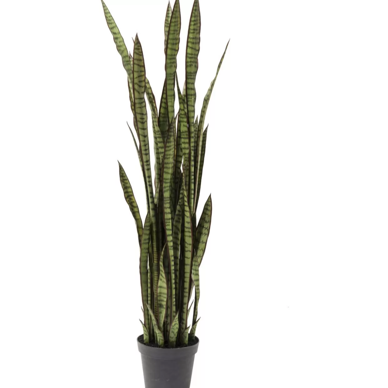 KARE Design Deko & Geschenkartikel | Deko Pflanze Sansewieria 155Cm