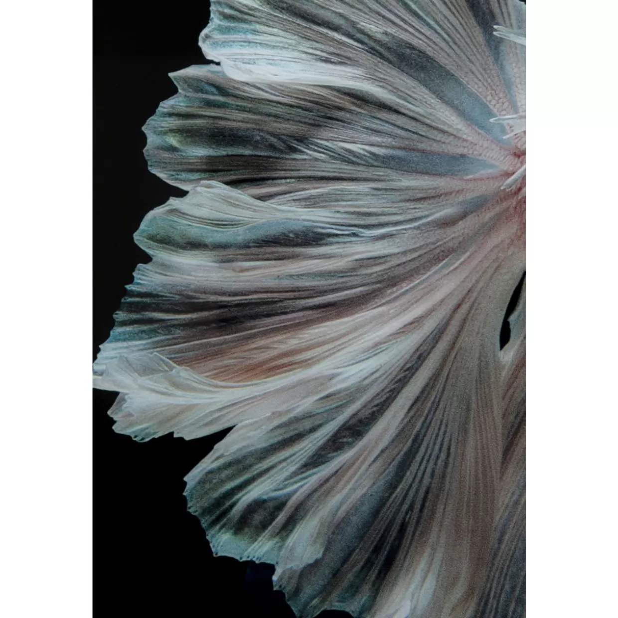 KARE Design Bilder | Glasbild Colorful Swarm Fish 120X120Cm