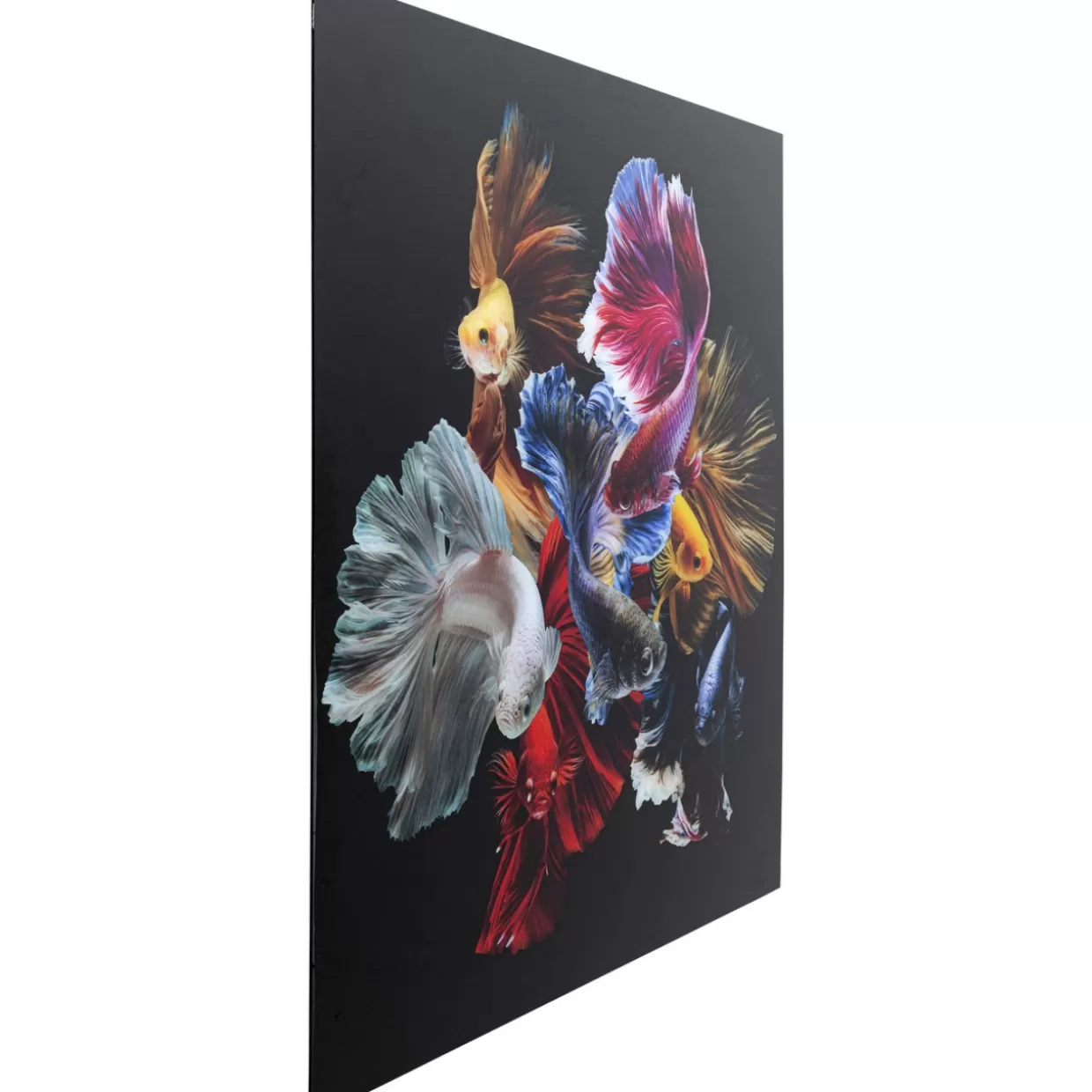 KARE Design Bilder | Glasbild Colorful Swarm Fish 120X120Cm