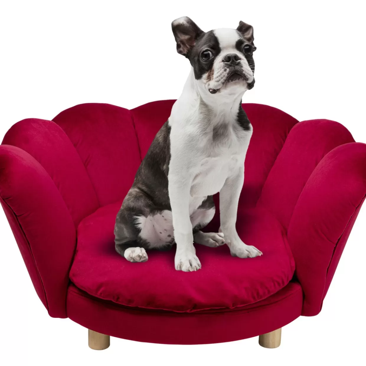 KARE Design Kleinmöbel & Sonstiges | Hund/Katzenbett Water Lily Rot