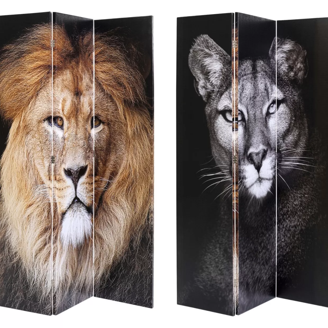 KARE Design Paravents | Paravent King Lion Vs Cat Girl 120X180Cm