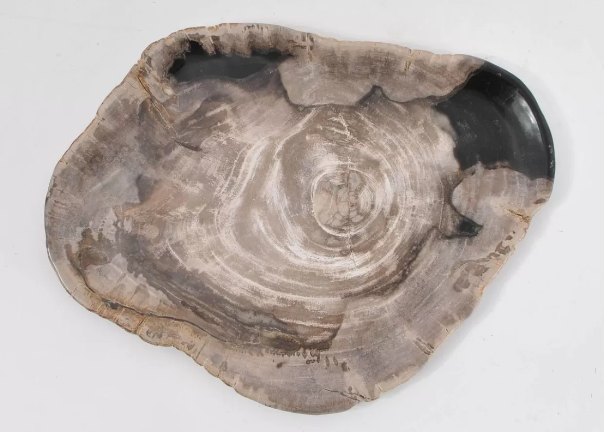 KARE Design Geschirr & Tischaccessoires | Platte Magisch Versteinertes Holz