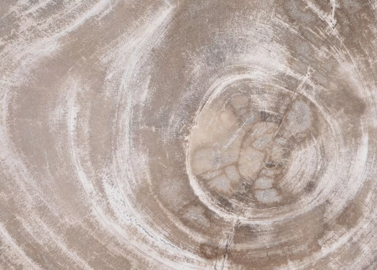 KARE Design Geschirr & Tischaccessoires | Platte Magisch Versteinertes Holz
