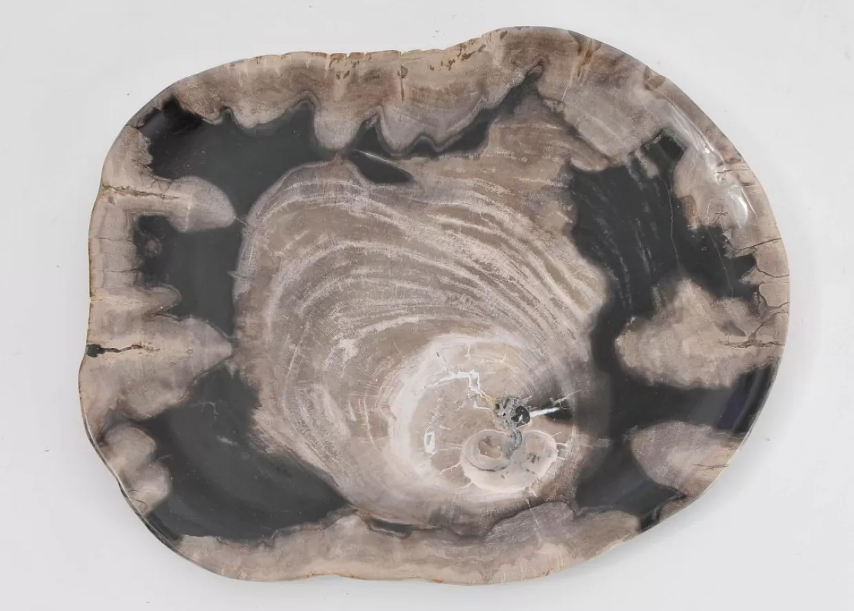 KARE Design Geschirr & Tischaccessoires | Platte Nachtwoud Versteinertes Holz