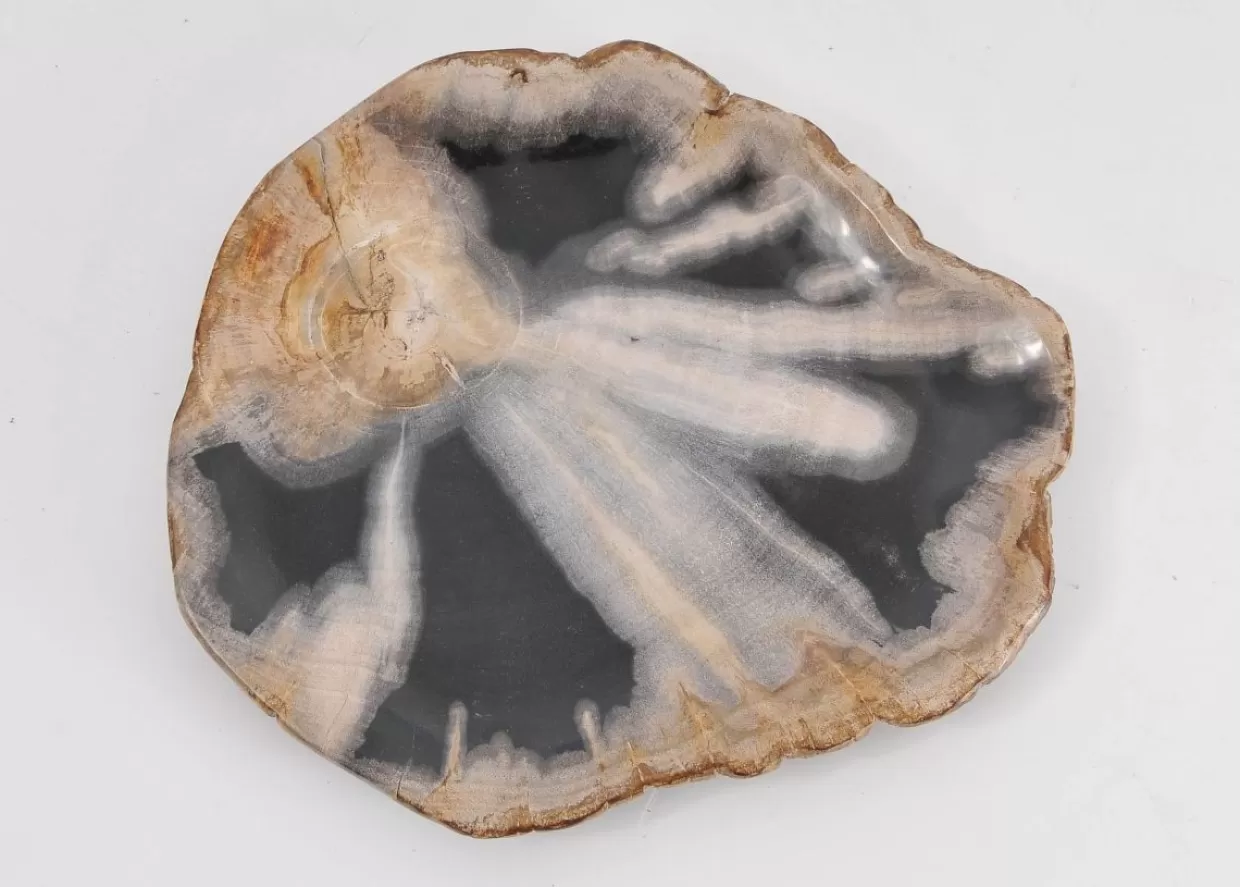 KARE Design Geschirr & Tischaccessoires | Platte Toverland Versteinertes Holz