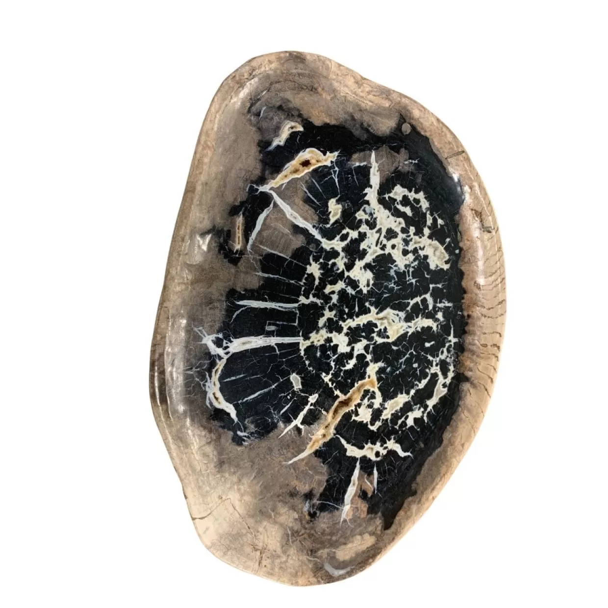 KARE Design Geschirr & Tischaccessoires | Platte Windmolen Versteinertes Holz